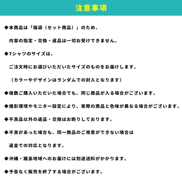 スケーター カジュアル福袋 メンズ 2025 2026 アパレル 3点入り