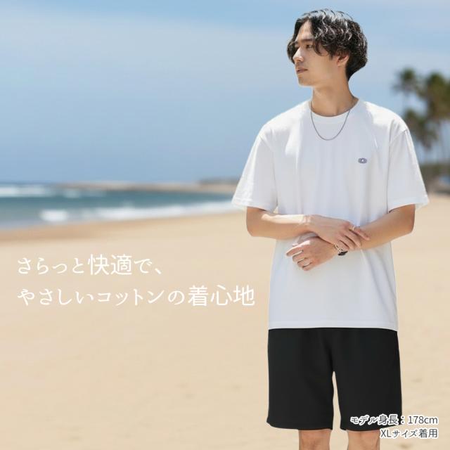 Fruit of the Loom Tシャツ メンズ 半袖 2枚セット フルーツオブザルーム