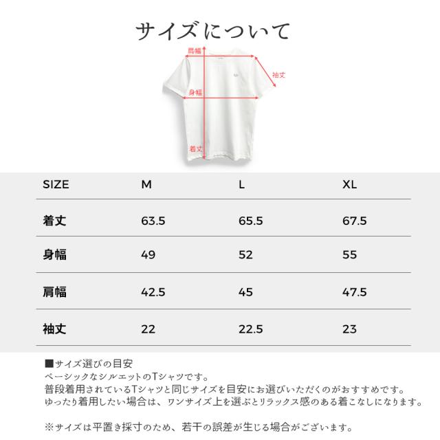 Fruit of the Loom Tシャツ メンズ 半袖 2枚セット フルーツオブザルーム