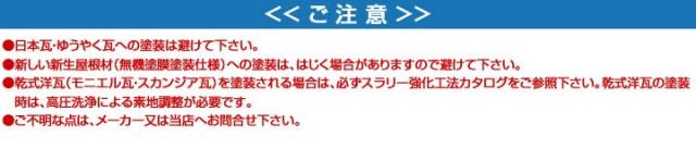 水系ナノシリコンとは