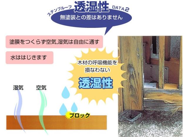 ステンプルーフとは