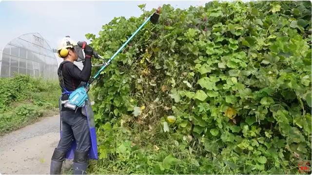 草刈りヒデちゃんねる