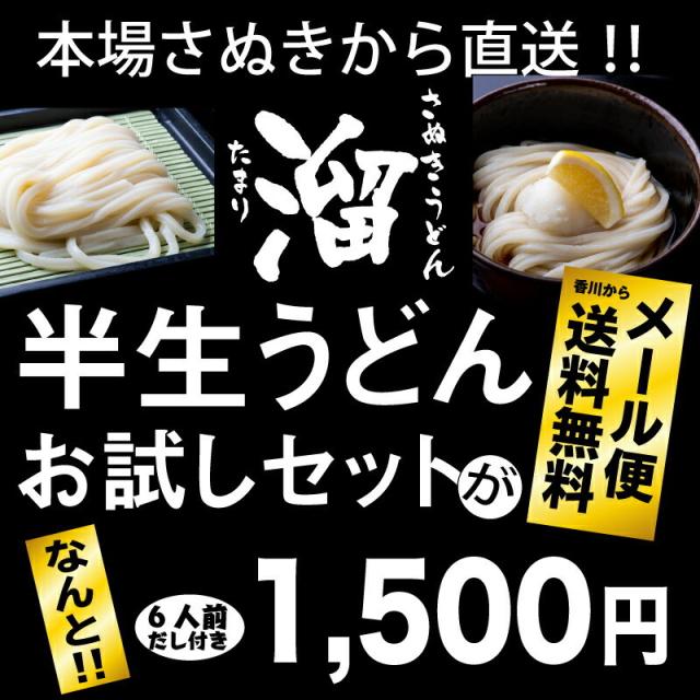 讃岐うどん 溜（たまり）商品画像12