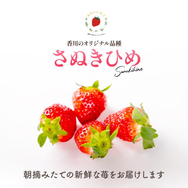さぬきひめ みらいいちご 香川県