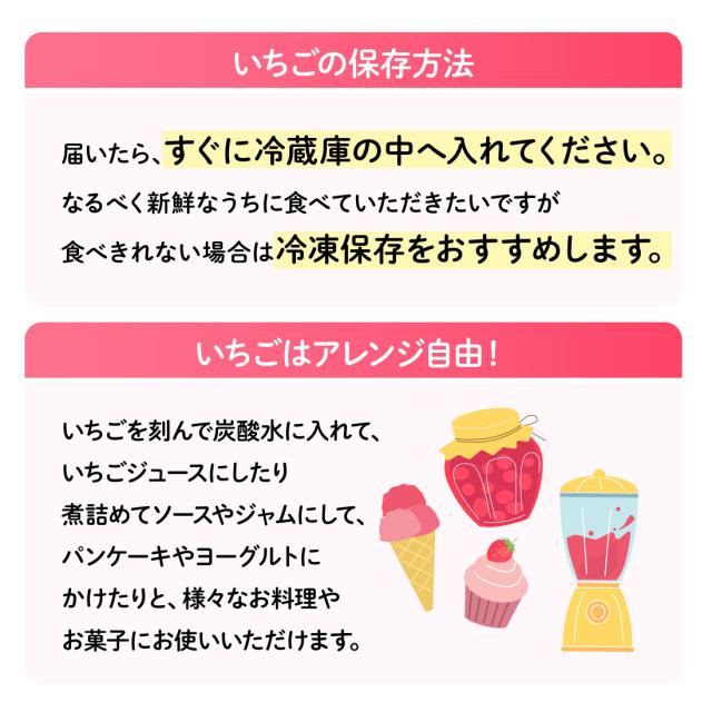 いちごの保存方法など
