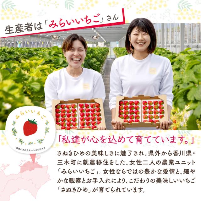 みらいいちご 生産者紹介