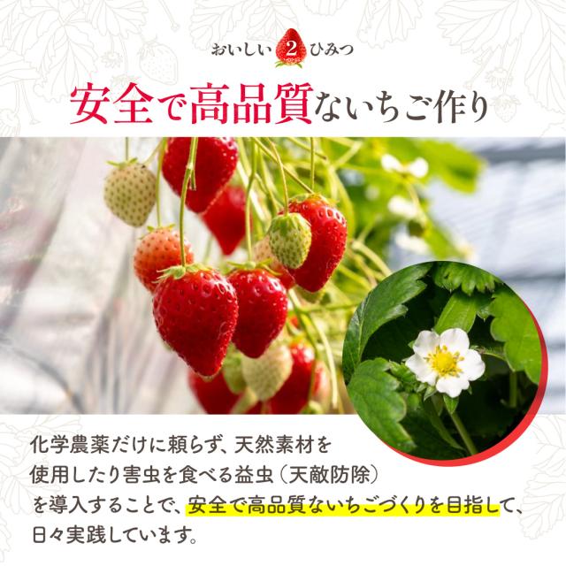 生産者のこだわり2