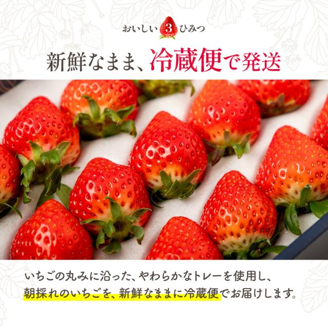 生産者のこだわり3