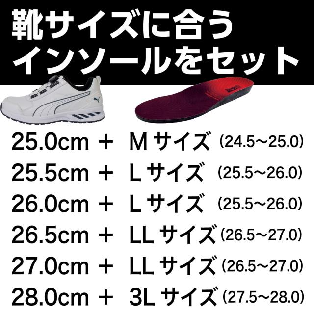 靴サイズに合うインソールをセット