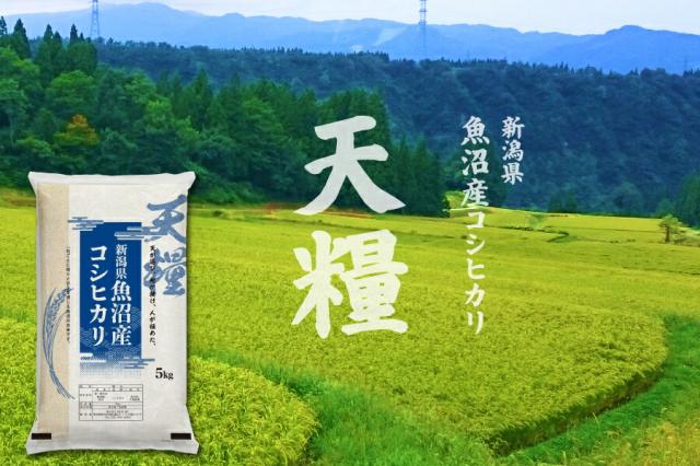 新潟県魚沼産コシヒカリ