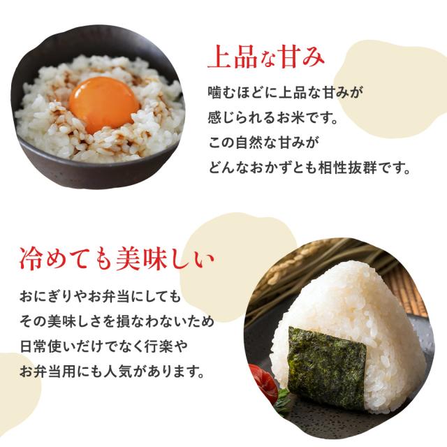 炊き上がりイメージ