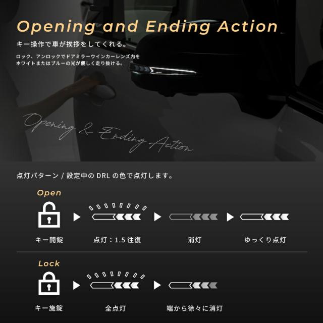 アルファード40ヴェルファイア40系カーボンファイバーファントムレッド