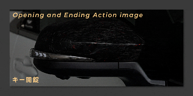 アルファード40ヴェルファイア40系カーボンファイバーファントムレッド動画