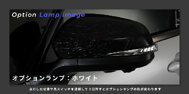 アルファード40ヴェルファイア40系カーボンファイバーファントムレッド動画