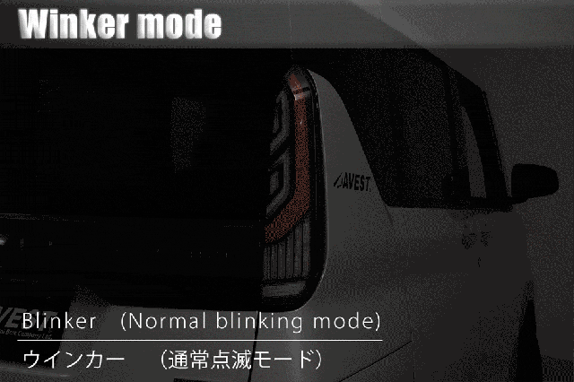 デリカミニフルLEDテールランプ