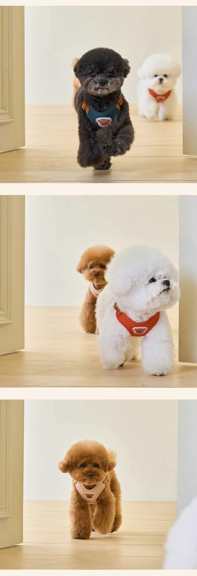 ベストフレンズ 犬用 リード ハーネス 小型犬 胴輪 散歩 首輪 リード お出かけ 旅行 韓国 ブランド 犬服 犬の服 ドッグウェア  