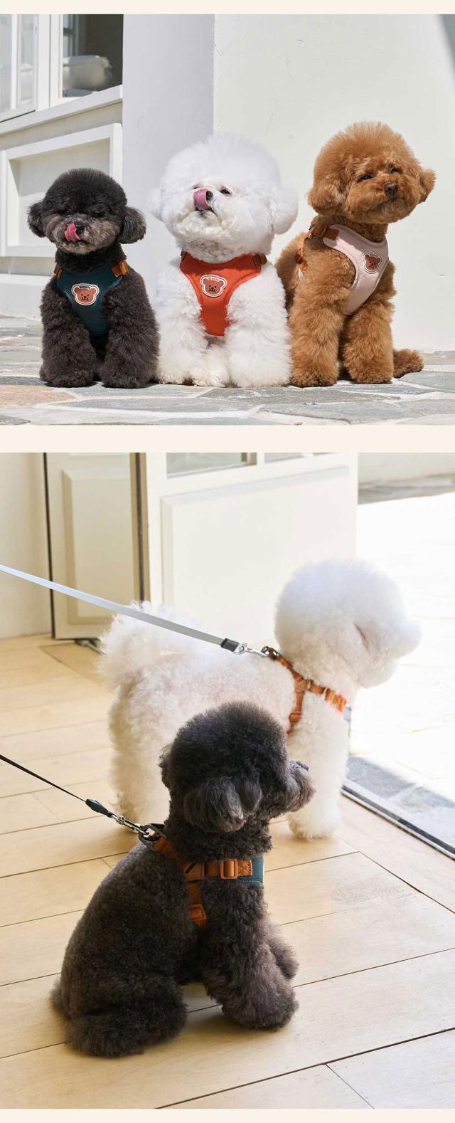 ベストフレンズ 犬用 リード ハーネス 小型犬 胴輪 散歩 首輪 リード お出かけ 旅行 韓国 ブランド 犬服 犬の服 ドッグウェア  