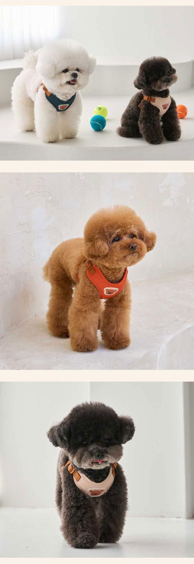 ベストフレンズ 犬用 リード ハーネス 小型犬 胴輪 散歩 首輪 リード お出かけ 旅行 韓国 ブランド 犬服 犬の服 ドッグウェア  
