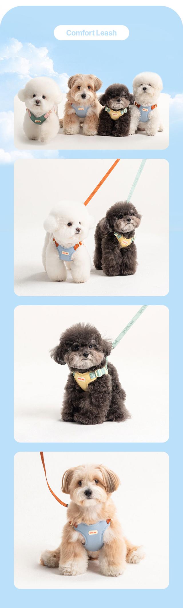 犬 リード カラー展開 ブルー イエロー カーキ
