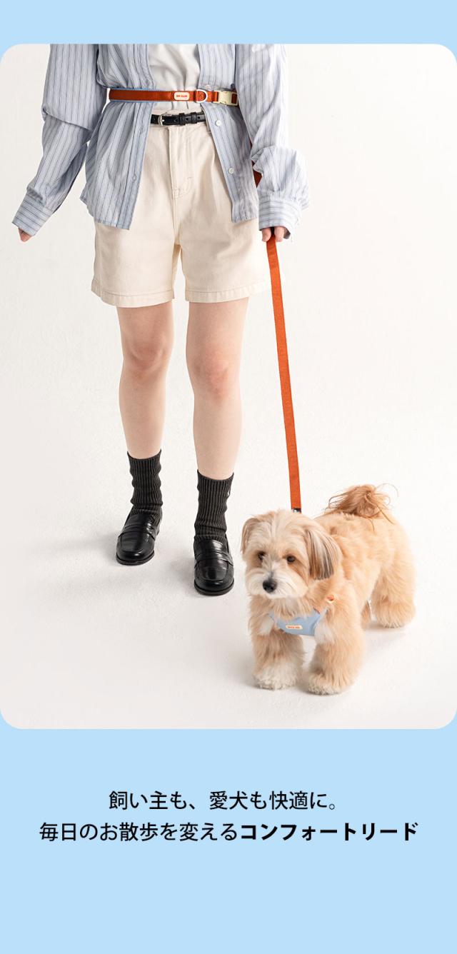 犬 リード 小型犬 中型犬 おしゃれ 軽量