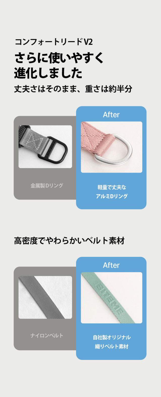 犬 リード 着用イメージ 小型犬 散歩シーン