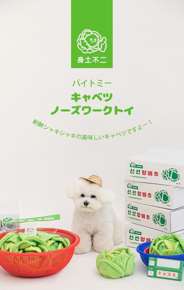べストフレンズ BestFriends 犬 おもちゃ かわいい 韓国  犬用おもちゃ 犬のおもちゃ 小型犬 中型犬 大型犬 犬服 おもちゃセット 