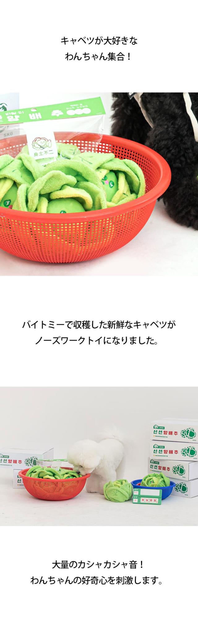 犬用おもちゃ  