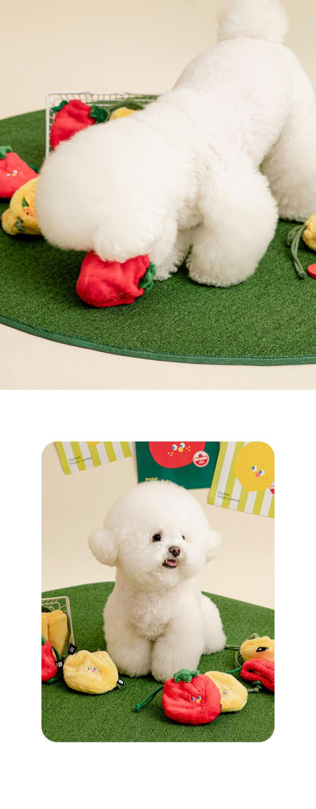 BITE ME ポケットフルーツ 犬 おもちゃ おやつ探し 室内遊び