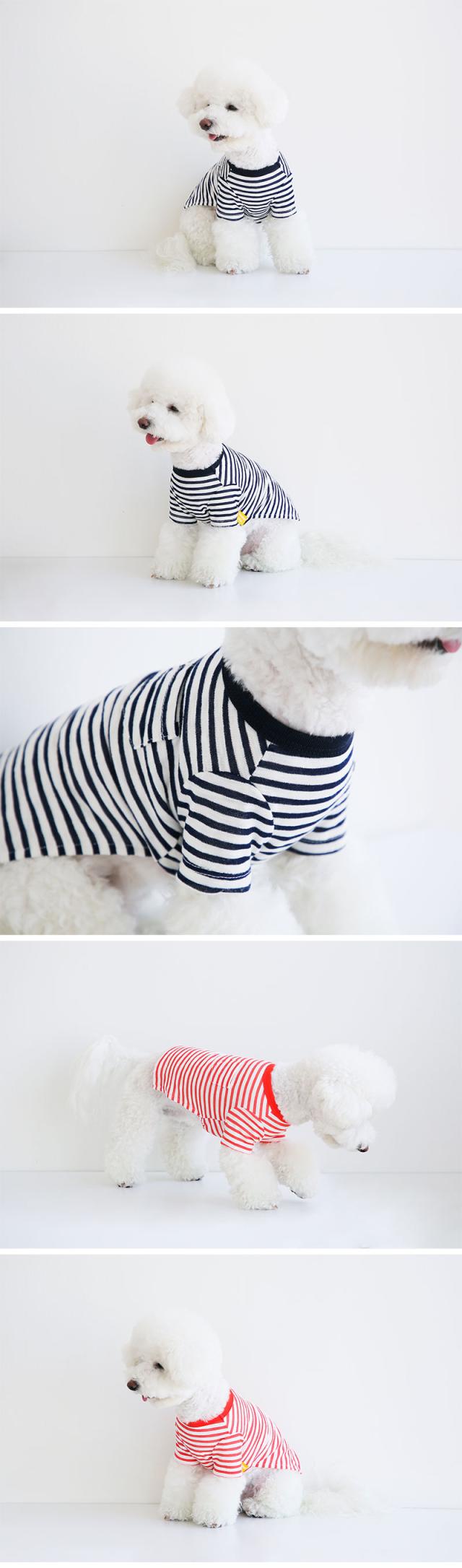 べストフレンズ BestFriends 犬服 犬の服 ドッグウェア ブランド 春 夏 秋 冬 ボーダー Tシャツ シンプル かわいい おしゃれ 犬 春服 