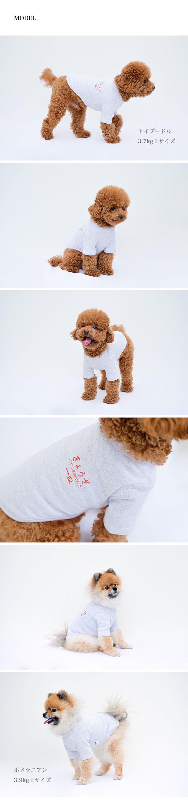 犬 服 Tシャツ 