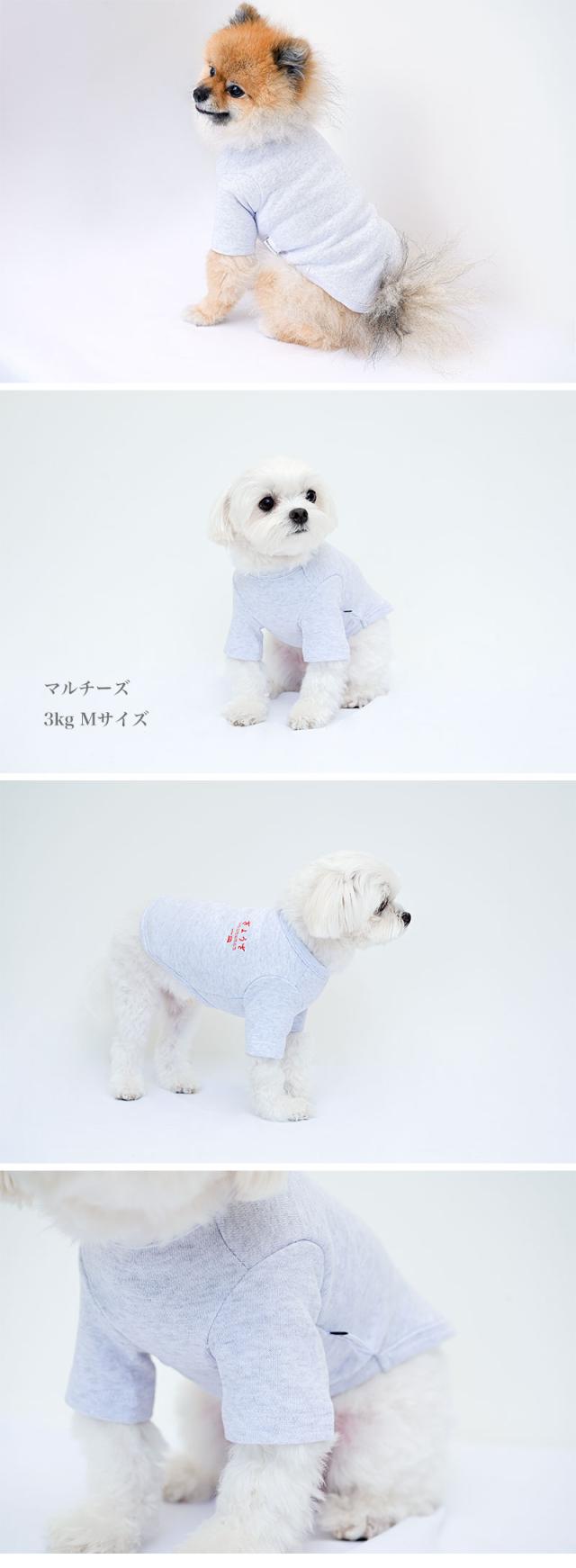 犬の服 Tシャツ 