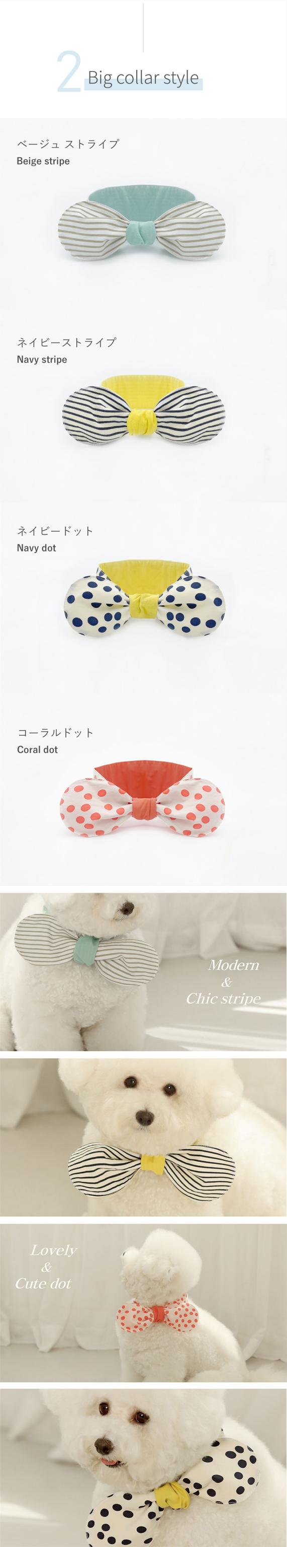 犬 暑さ対策 