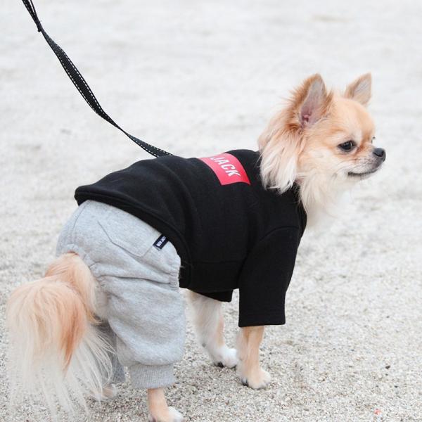 犬服 ブランド