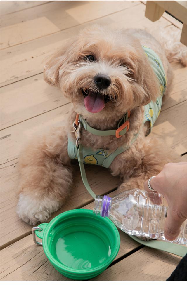 犬 おやつ入れ  