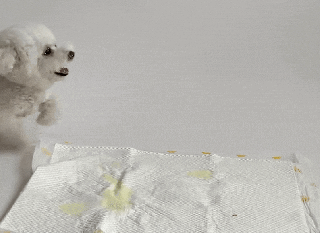 犬 トイレ トレー  