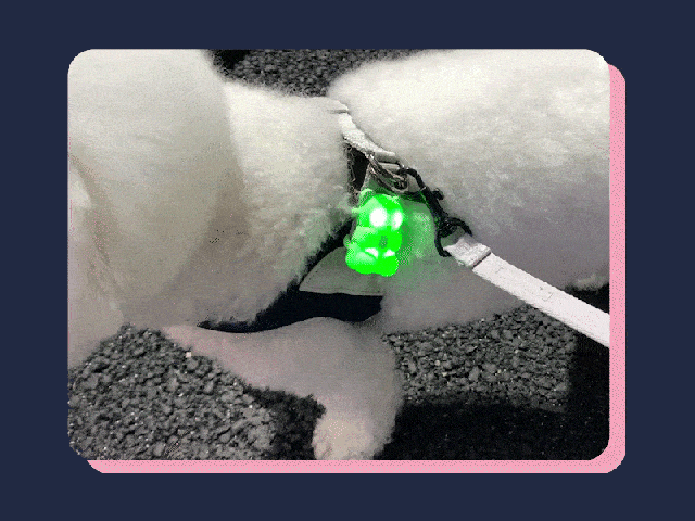 お散歩ライト  