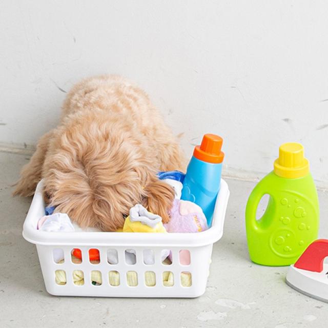 犬のおもちゃ  