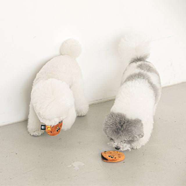 犬 ノーズワーク  