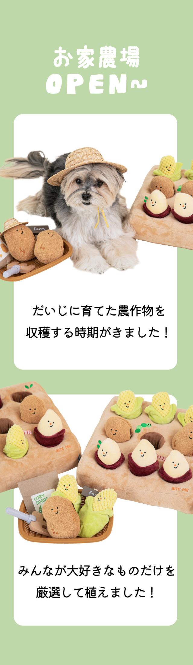 犬用おもちゃ ノーズワーク 