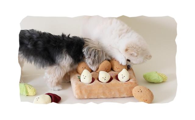 犬用おもちゃ ノーズワーク 