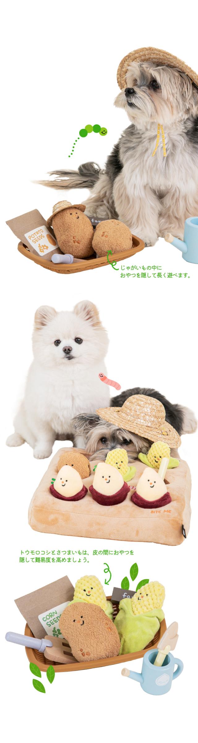 バイトミー 犬 