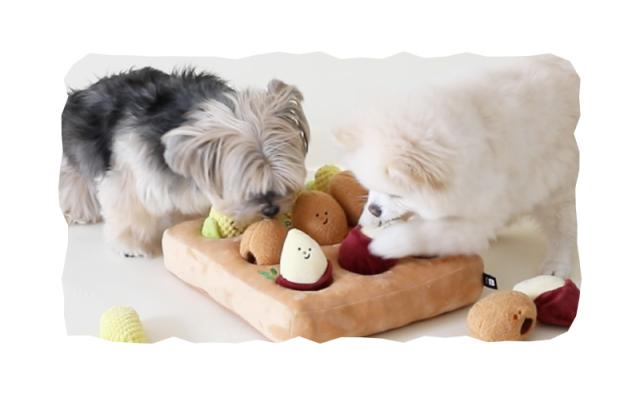 犬 にんじん 