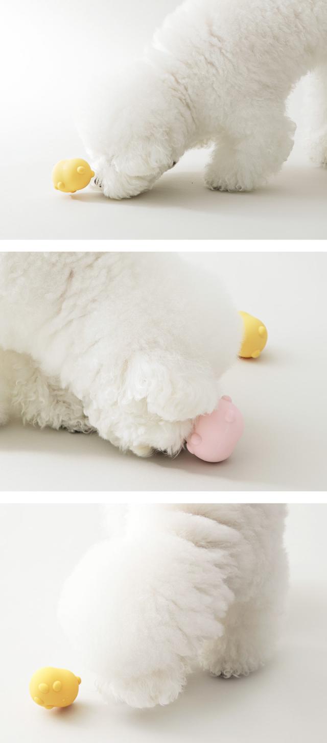 犬 知育 