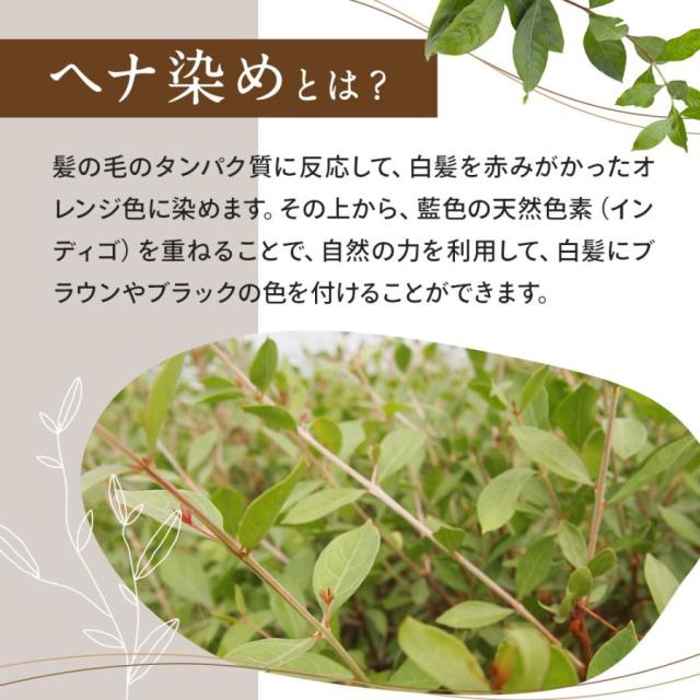 レイテノール 商品画像