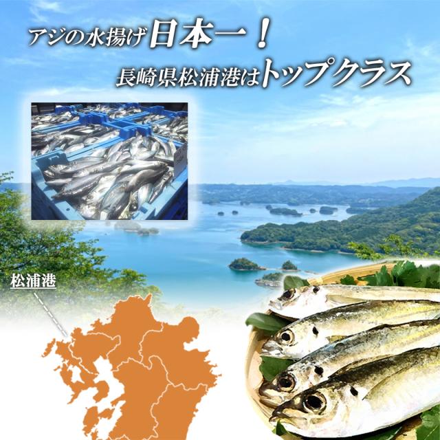 アジフライ 松浦 国産 冷凍 あじフライ 1P 500g (14枚入り) 送料無料 骨取り 骨なし 真アジ あじ アジ 鯵 簡単調理 お弁当 おかず 冷凍食品 国内製造 いいBUYストア