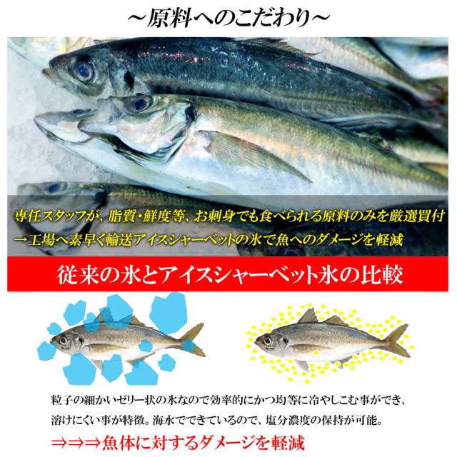 アジフライ 松浦 国産 冷凍 あじフライ 1P 500g (14枚入り) 送料無料 骨取り 骨なし 真アジ あじ アジ 鯵 簡単調理 お弁当 おかず 冷凍食品 国内製造 いいBUYストア