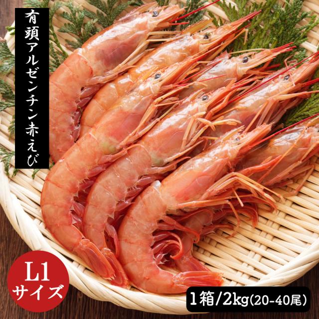 アルゼンチンエビ 赤エビ 2kg (1箱/20-40尾) 送料無料 特大サイズ L1サイズ 赤えび 赤海老 大型エビ 有頭エビ えび エビ 海鮮丼 生食用 刺身 お刺身 急速冷凍 いいBUYストア