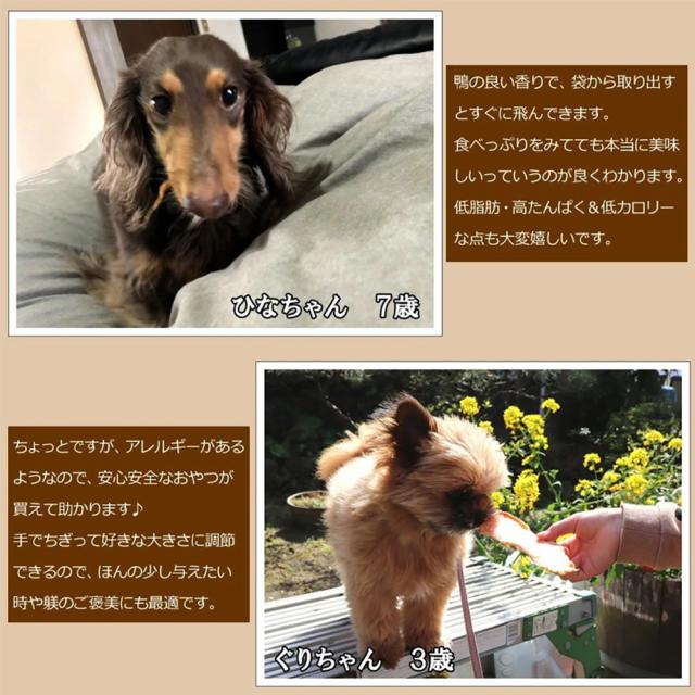 鴨むね肉ジャーキー ジャーキー 60g 送料無料 鴨むね肉ハード薄切り 犬用おやつ 鴨ジャーキー 鴨スライス 鴨胸肉 ドッグフード 乾燥 スナック 栄養補給 鉄分補給 低脂肪 いいBUYストア