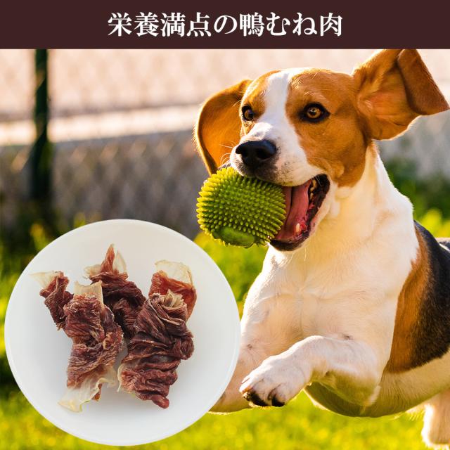 犬 おやつ 鴨軟骨 鴨むね肉巻き 3Pセット (1P/35g) 送料無料 ジャーキー ドッグフード ペットフード 犬用おやつ 鴨肉 乾燥肉 無添加 いいBUYストア