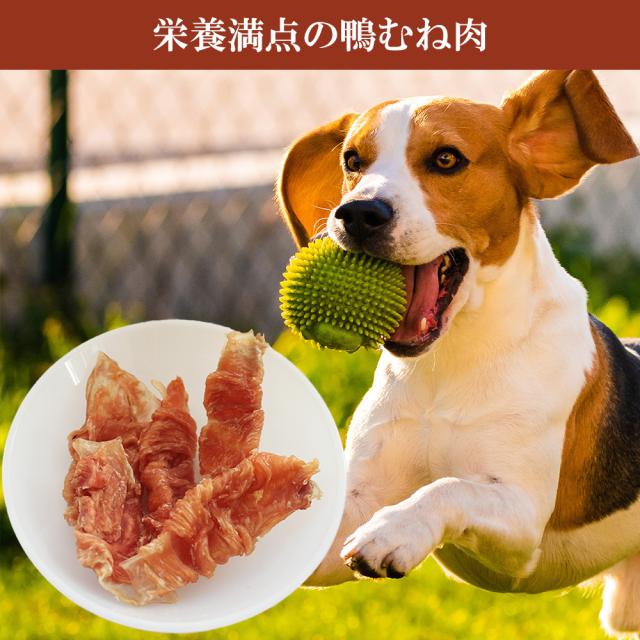 犬 おやつ 鴨軟骨 鶏ささみ巻き 3Pセット (1P/35g) 送料無料 ジャーキー ドッグフード ペットフード 犬用おやつ 鴨肉 乾燥肉 無添加　いいBUYストア